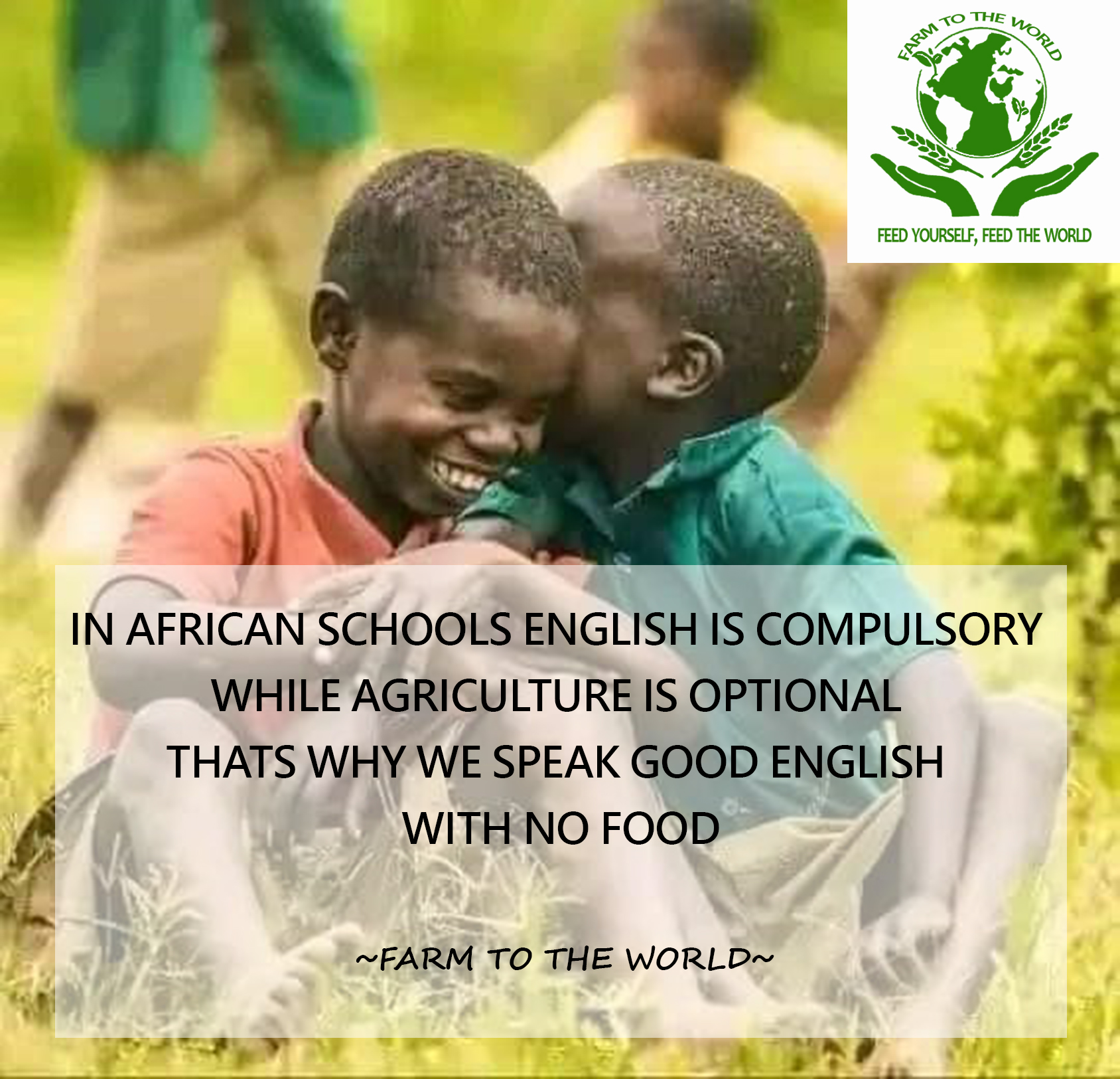 Planting for Cash: Cultivating Prosperity Through Impactful Agricultural Investment